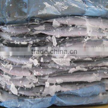 Seafrozen Pacific Saury wr photo-5
