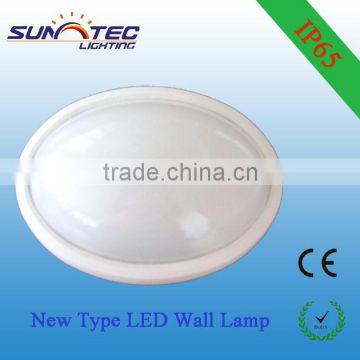 Outdoor LED Wall Light