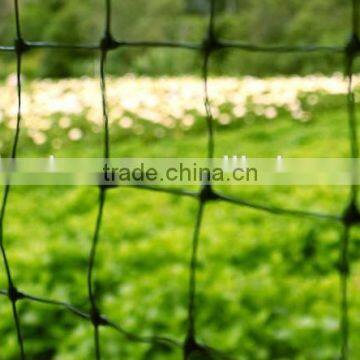 Economical Plastic Enclosure Culture / Poultry Netting