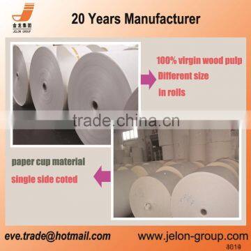 China Manufacturer 185gsm PE Coated Paper in Sheet