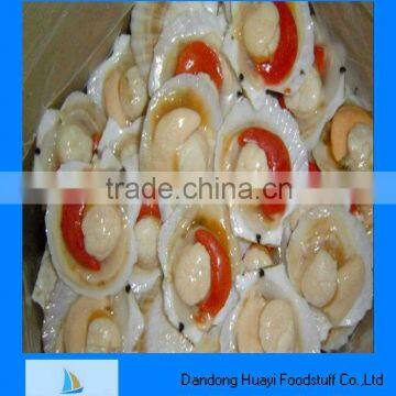 Fresh frozen scallop for sale