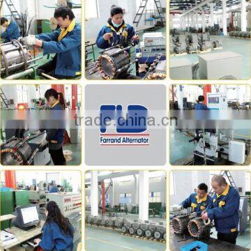 how to test alternator/stamford engineer/Professional manufacture with stamford experience