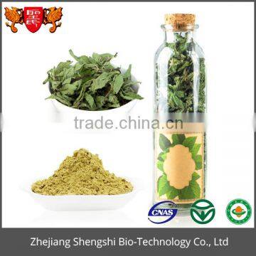 Mentha Piperita Extract,Wild Mint Herb Extract, Peppermint Powder Extract