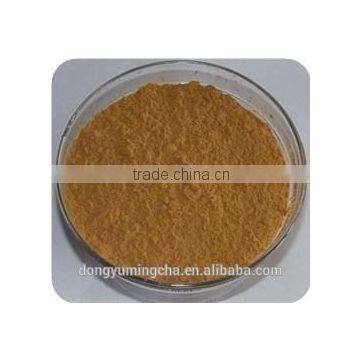 GMP Manufacture Supply High Quality Rhodiola Rosea Extract 3% 5% Rosavins for Supplement for Capsule photo-3