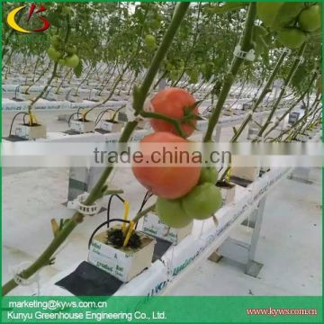 Hydroponic gutter for strawberry tomato pepper hydroponic trough for greenhouse