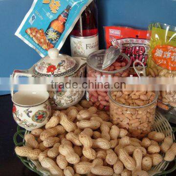 snack food