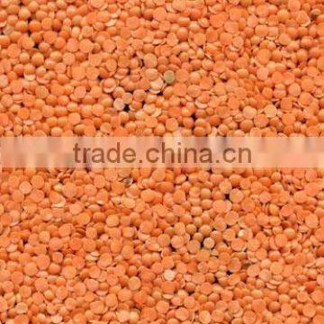 Red split and whole lentils sortexed quality