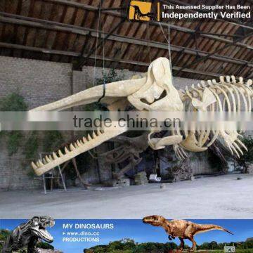 MY Dino-C060 Artificial Sperm Whale Skeleton for Sale photo-6