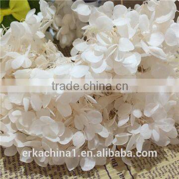 Preserved Flower Hydrangea Flower