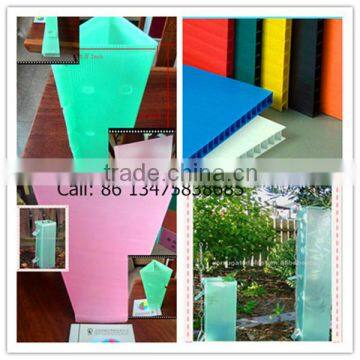 polypropylene corflute vine tree guard