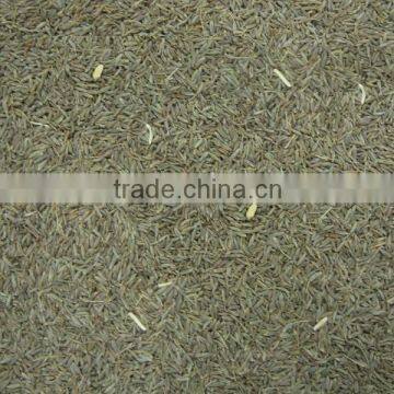 Cumin Seeds Singapore photo-2