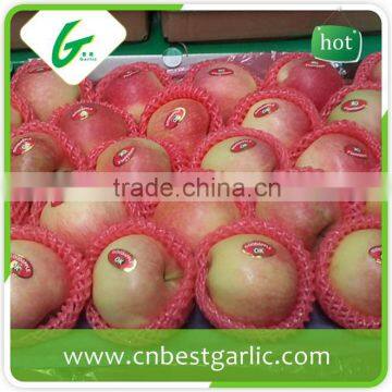 Fresh Chinese delicious fruit crisp gala apple