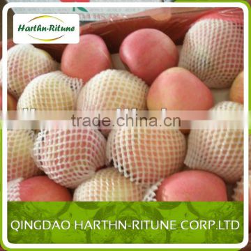 china yantai best fuji apple price