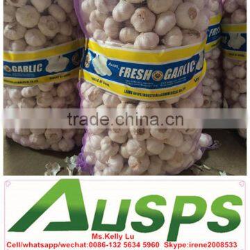 Mesh Bag for Packing Garlic