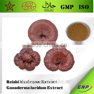 Ganoderma Lucidum / Ganoderma Extract / Ganoderma Lucidum Bulk Powder