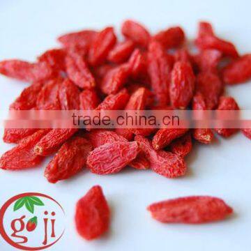 Free Pesticide organic goji berries