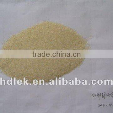 2013 onion granule