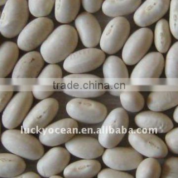 2015 WHITE KIDNEY BEANS