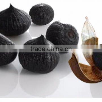 Natural Black Garlic