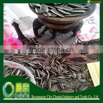 American Type Black Chinese Inner Mongolia Sunflower Seeds Supplier New Crop