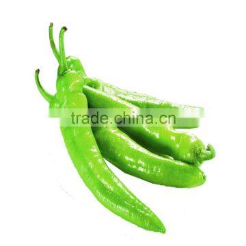 The international advanced super big and long yellow green pepper seeds