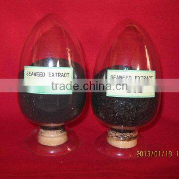 seaweed fertilizer for plant regulator