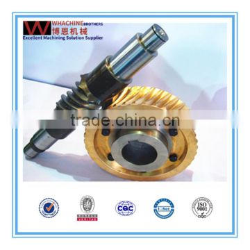 Professional Customized Brass/Steel Worm Gear and Shaft