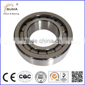 SL182206 Full complete cylindrical roller bearing withstand heavy load and impact load