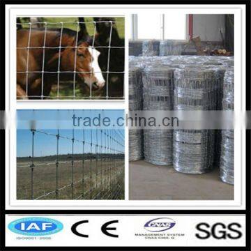 High quality of the canada galvanized pipe horse fence panels