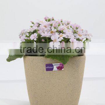 sand surface plastic flowerpot,bonsai pot,frosted garden planter