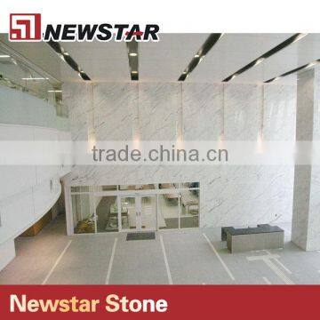 Newstar Cheap Guangxi White With Black Grey Veins China Marble Tile photo-6