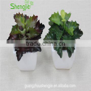 SJLJ013384 Artificial Plant / Fake Plastic Succulent Plant for Office / Restaurant Decoration photo-5