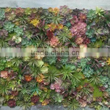 Home and outdoor decoration synthetic cheap artificial vertical green succulent grass wall E08 0410