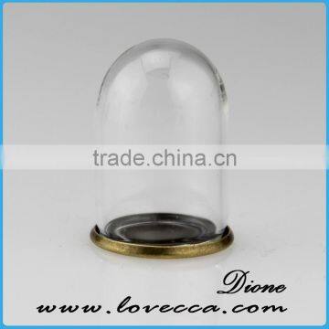 Mouth Blown Modern Decoration Glass Globe Customized Flower Clear Glass Display Dome photo-5