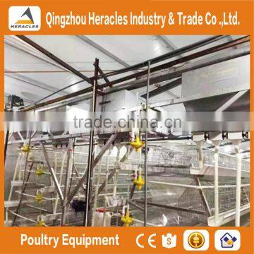 Heracles High Quality Chicken Poultry Farm Equipment/chicken Cages Plans photo-6