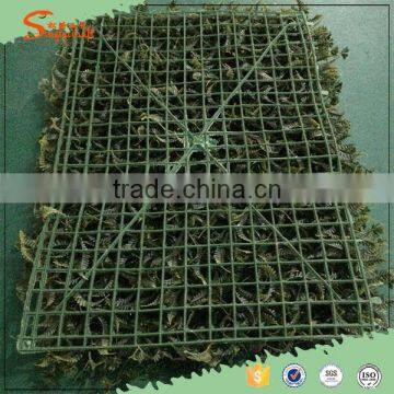 Cheap Fake Carpet Grass Artificial Turf Grass for Indoor Craft photo-2