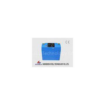12V 20Ah Lithium LiFePO4 Smart Battery Module For E-Scooter, E-Wheelchair, E-Golf Car