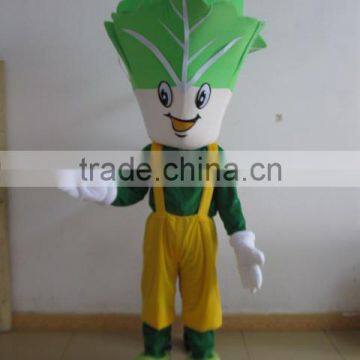 EVA plush material vegetable mascot costume vegetable mascot for adult