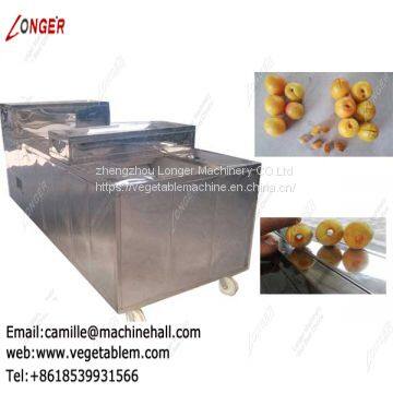 Commercial Apricot Core Removal Machine|Fruit Pitting Machine Manufacturers photo-4