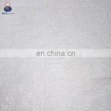 China Manufacture Durable 50kg Woven pp Maize Bags photo-4