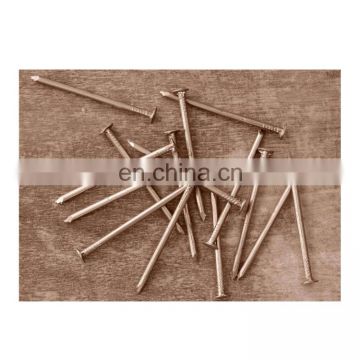 HDG (Hot Dip Galvanized) Bulk Iron Nails