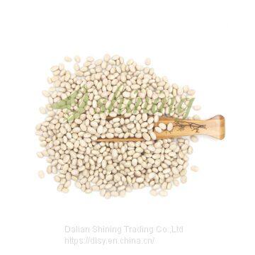 white kidney navy bean on sale