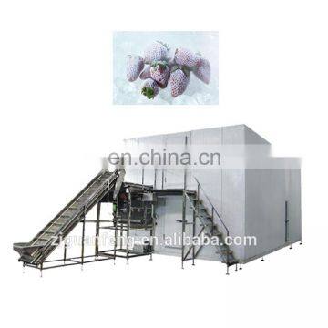 Quick Freezing IQF Food Freezing Tomato Machine Processing photo-2