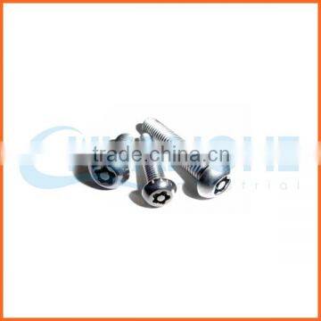 China supplier torx slot head anti-theft screw