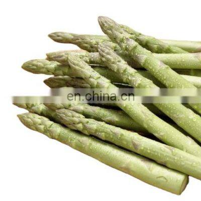 Factory price good quality green asparagus with fresh materials