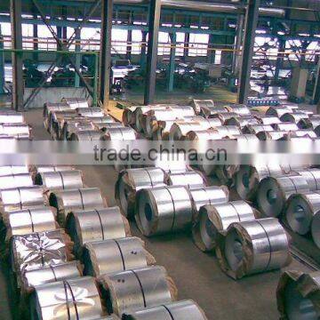 pre-painted galvanized steel coils(PPGI)