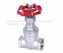 gate valve thread&socket weld connection