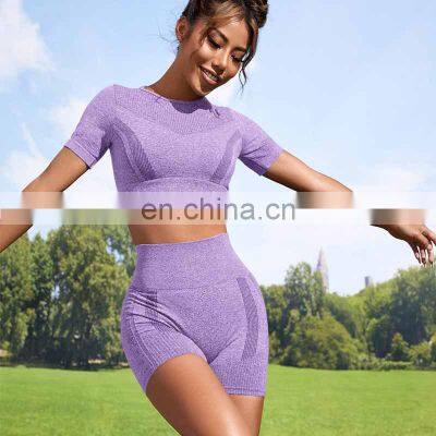 Seamless Two Piece Yoga Wear Custom Workout Short Sleeve Crop Top And Shorts Women Activewear Private Gym Fitness Sets photo-3