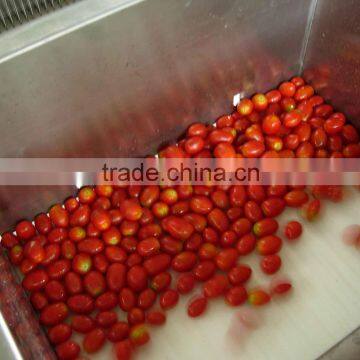 Tomato Making Machine/Tomato Cutting Machine