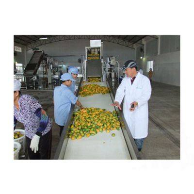 Shanghai Factory Mango Peeling Pitting Cutting Drying Equipment Dried Dehydrated Mango Processing Machine Production Plant Line